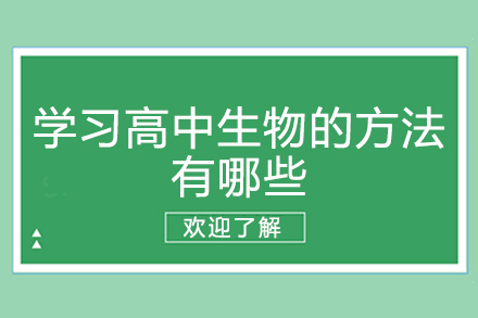 高中生物高效学习全攻略
