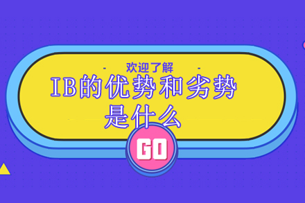 国际文凭课程深度解析：优势与挑战全方位指南