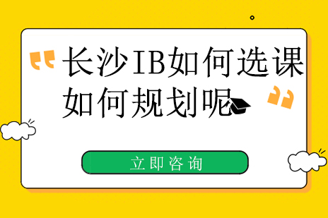 长沙IB如何选课，如何规划呢，