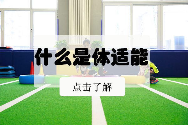 体适能课程全解析