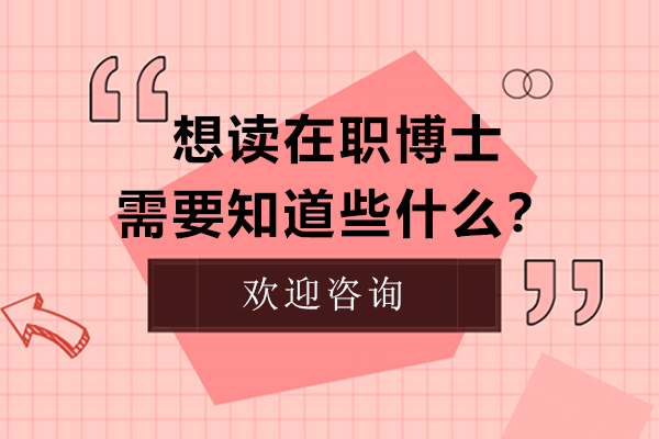 在职博士报考全攻略：申请条件与流程详解