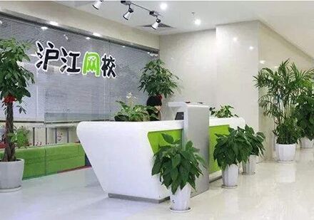 沪江网课