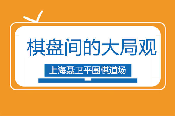 圍棋戰(zhàn)略思維與人生智慧深度解析
