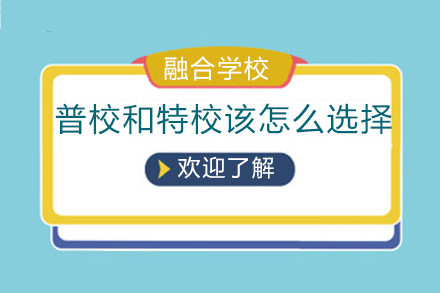 普校与特校教育选择全解析