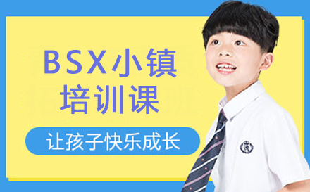 东莞BSX小镇培训课