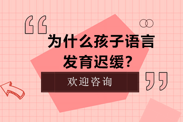 为什么孩子语言发育迟缓？