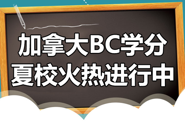 楓華國(guó)際BC夏校深度解析