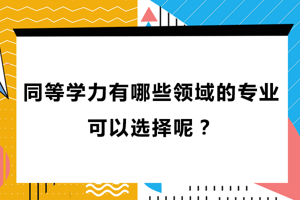 同等学力有哪些领域的专业可以选择呢？