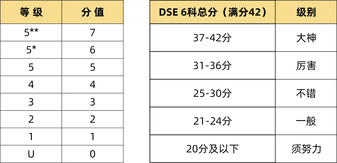 DSE评分标准图解