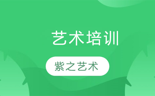 紫之教育播音表演师资全解析：实力团队助力艺考梦想