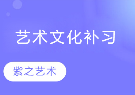 杭州艺考生文化补习班