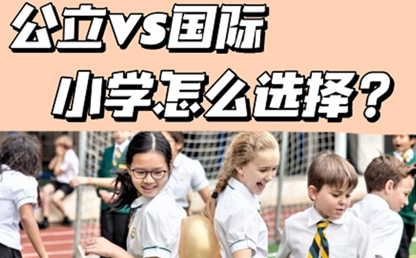 公立VS国际小学怎么选择？