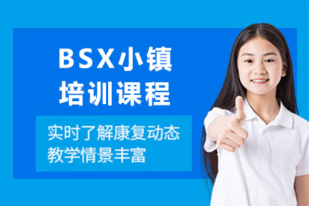 BSX小镇培训课程