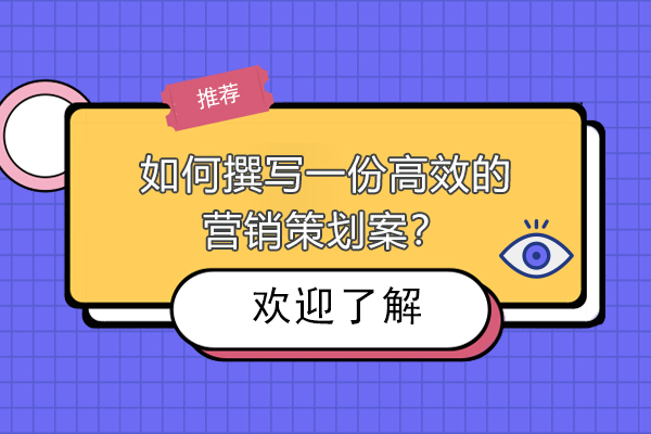 营销策划案撰写实战指南