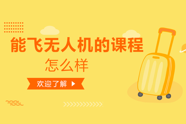 能飞无人机培训课程全解析