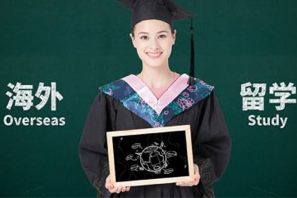 国际硕士进阶指南：职场精英必备的升学策略