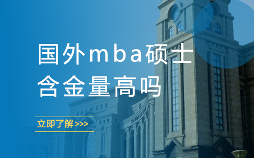 国际MBA硕士课程价值解析