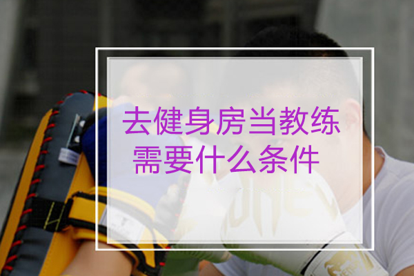 去健身房当教练需要什么条件