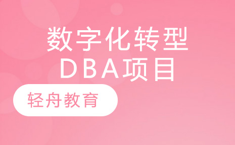 苏州数字化转型DBA项目