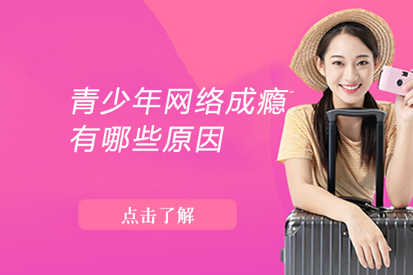 青少年网络依赖行为深度解析