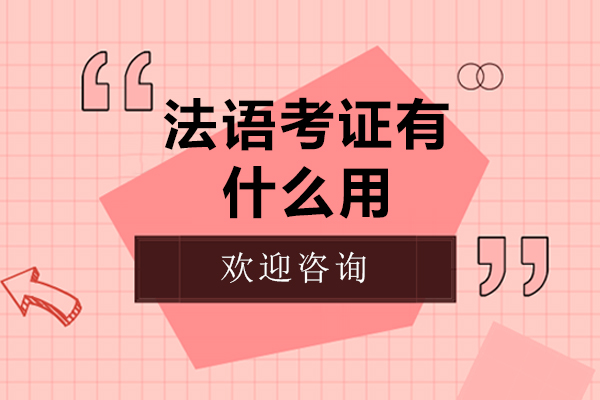 法语等级考试深度解析与备考指南