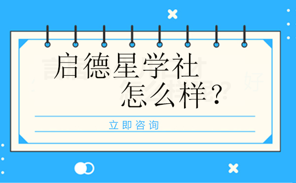 启德星学社国际教育深度解析