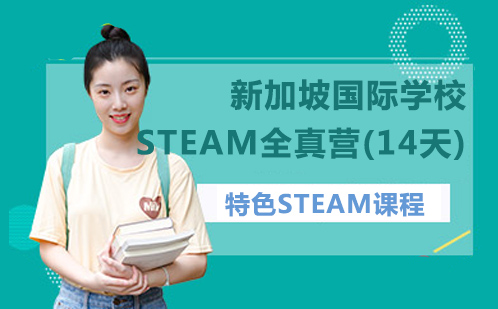 新加坡国际学校STEAM全真营(14天)