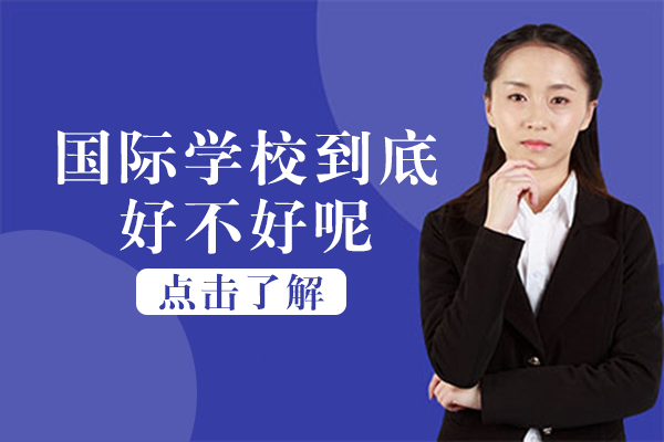 国际教育路径深度解析