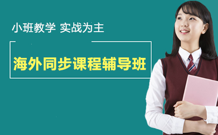 海外同步课程辅导班