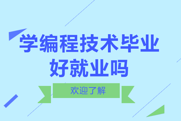 学编程技术毕业好吗