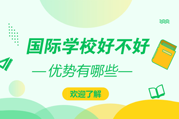国际教育路径深度解析：优势甄别与选择策略