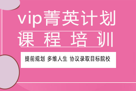 vip作品集菁英计划课程培训