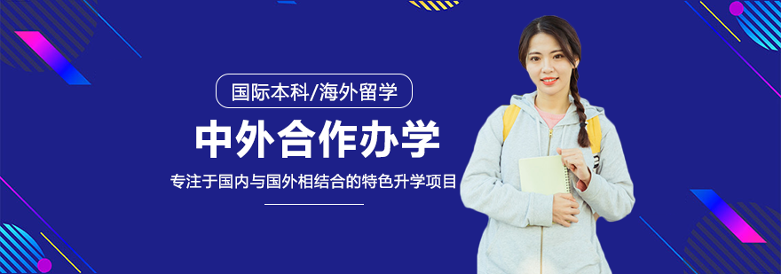 国际教育咨询专家