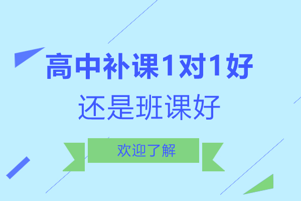 高中补课1对1好还是班课好