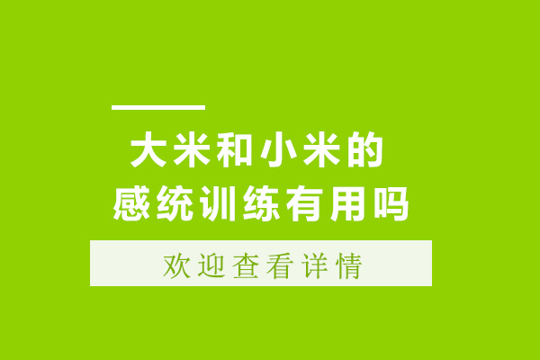 上海大米和小米康复中心感统训练有用吗