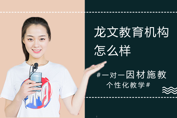 上海龙文教育机构怎么样