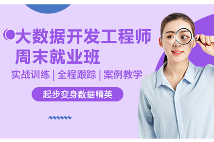 大数据开发工程师周末班