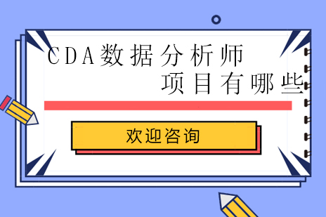 CDA数据分析师项目有哪些