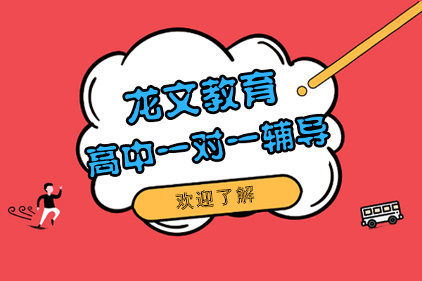 上海龙文教育高中一对一辅导班怎么样