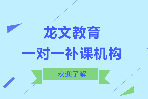 上海一对一补课哪个机构好-推荐来龙文教育