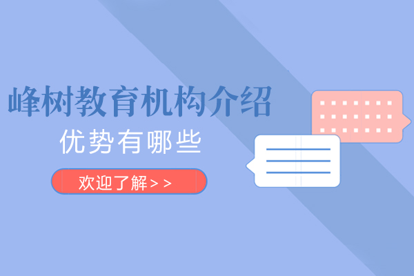 上海峰树教育机构介绍