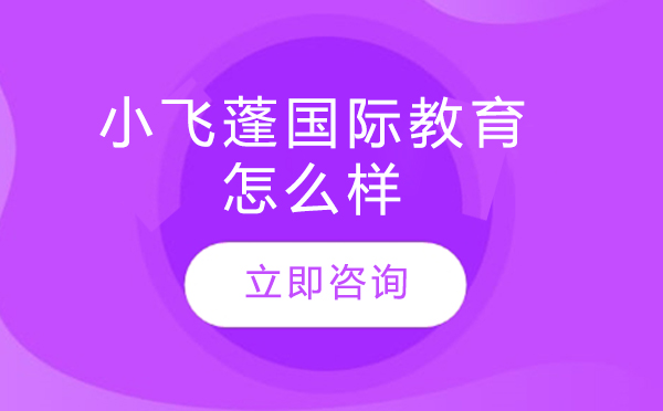 北京小飞蓬国际教育深度解析