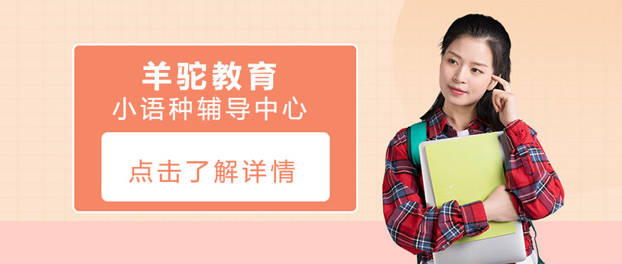 沈阳羊驼教育