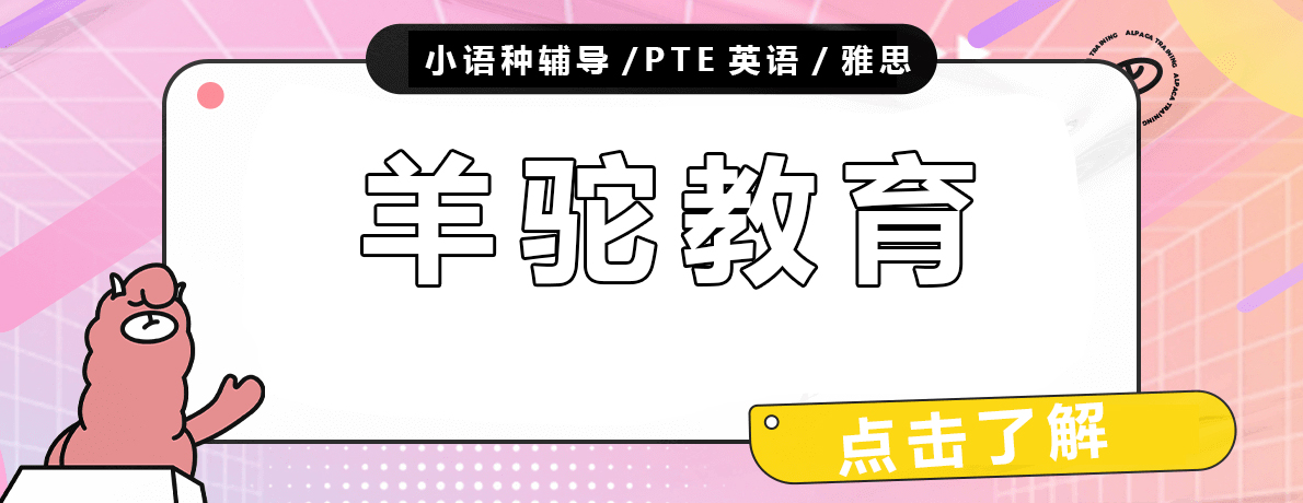 北京羊驼教育