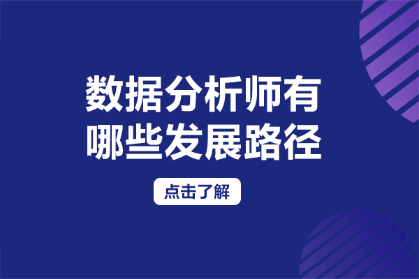 数据分析师有哪些发展路径