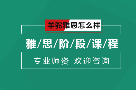 羊驼雅思怎么样呢？