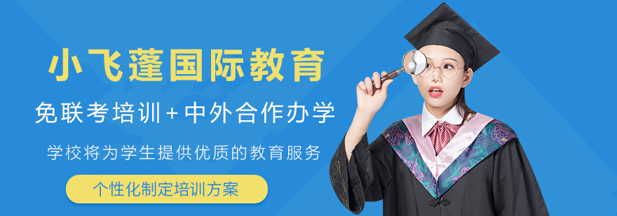 上海小飛蓬國際教育