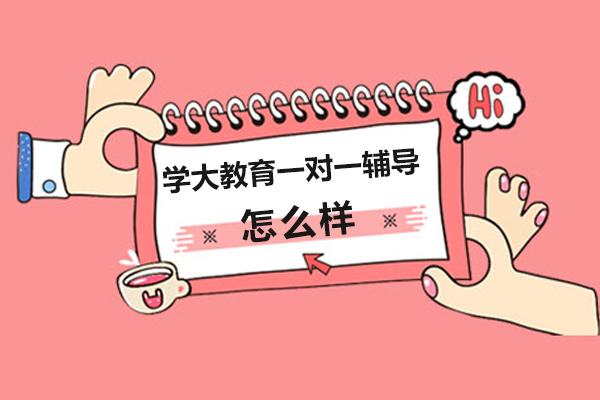 上海學大教育一對一輔導班怎么樣