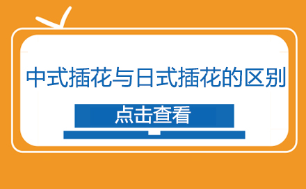 东方插花艺术对比：中日美学差异深度解析
