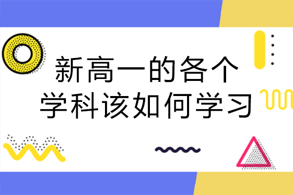 新高一的各个学科该如何学习